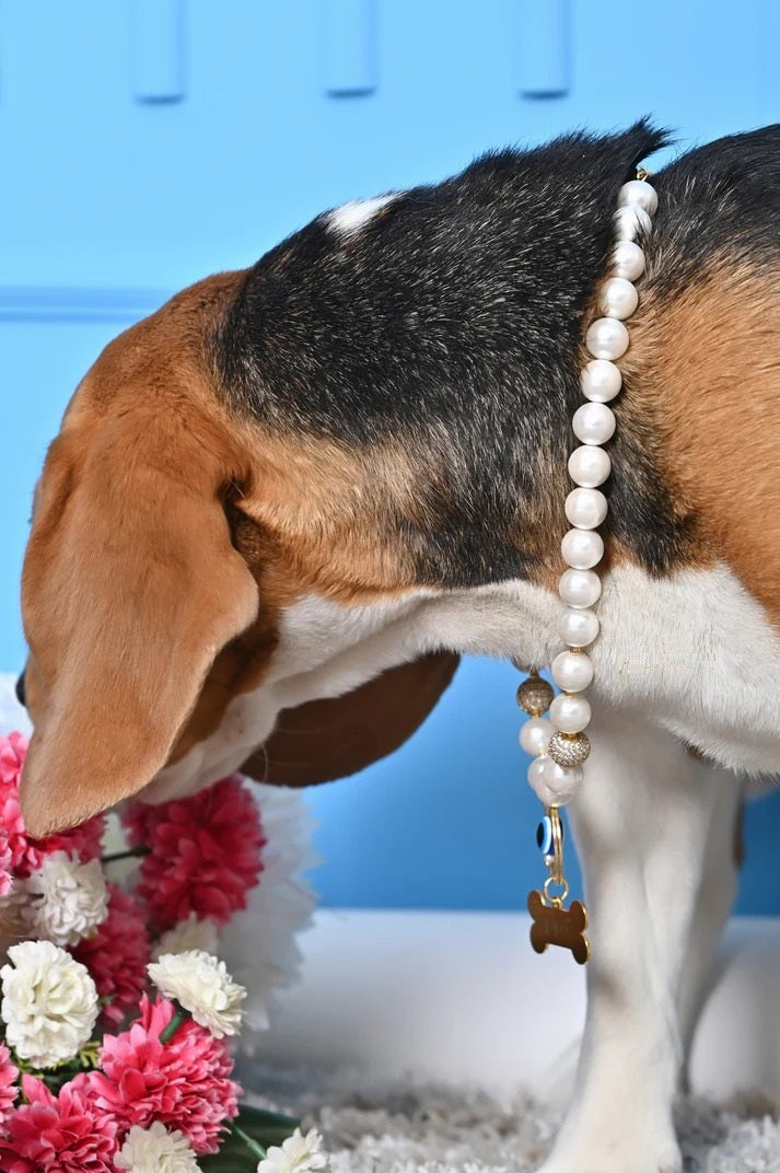 Personalized Pearl Pet Necklace with Evil Eye Charm