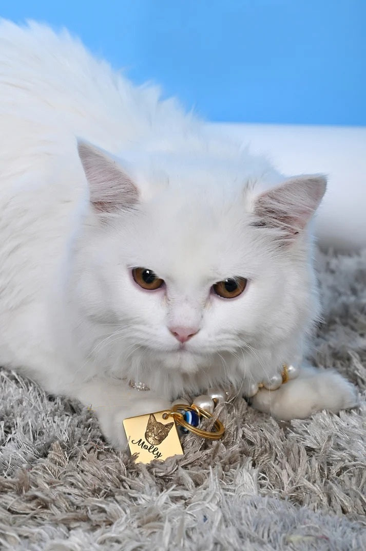 Personalized Cat Pearl Necklace with Evil Eye Charm