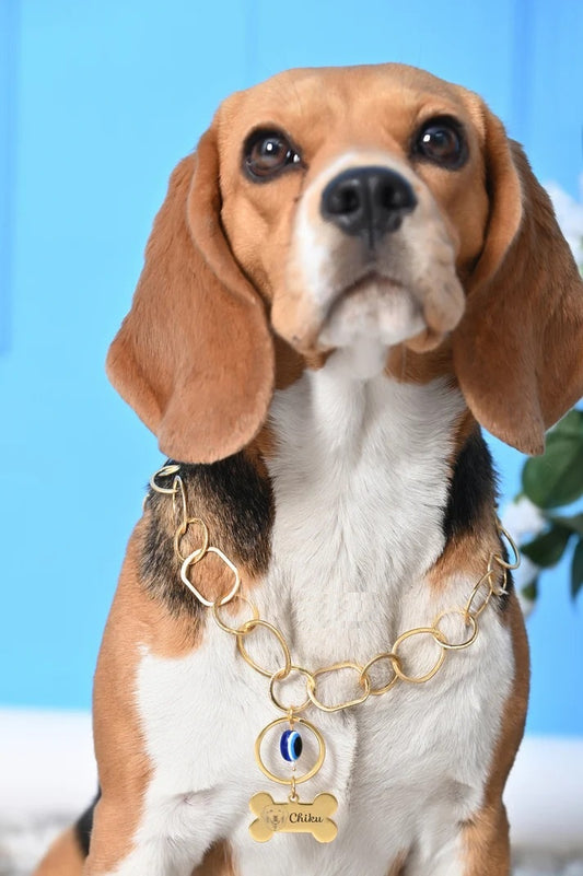 Custom Pet Name & Image Necklace with Evil Eye Protection