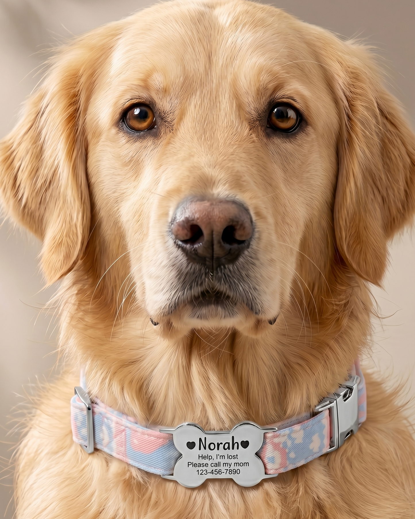 Custom Dog-Pet Id Collar Slide On Silver Bone Tag