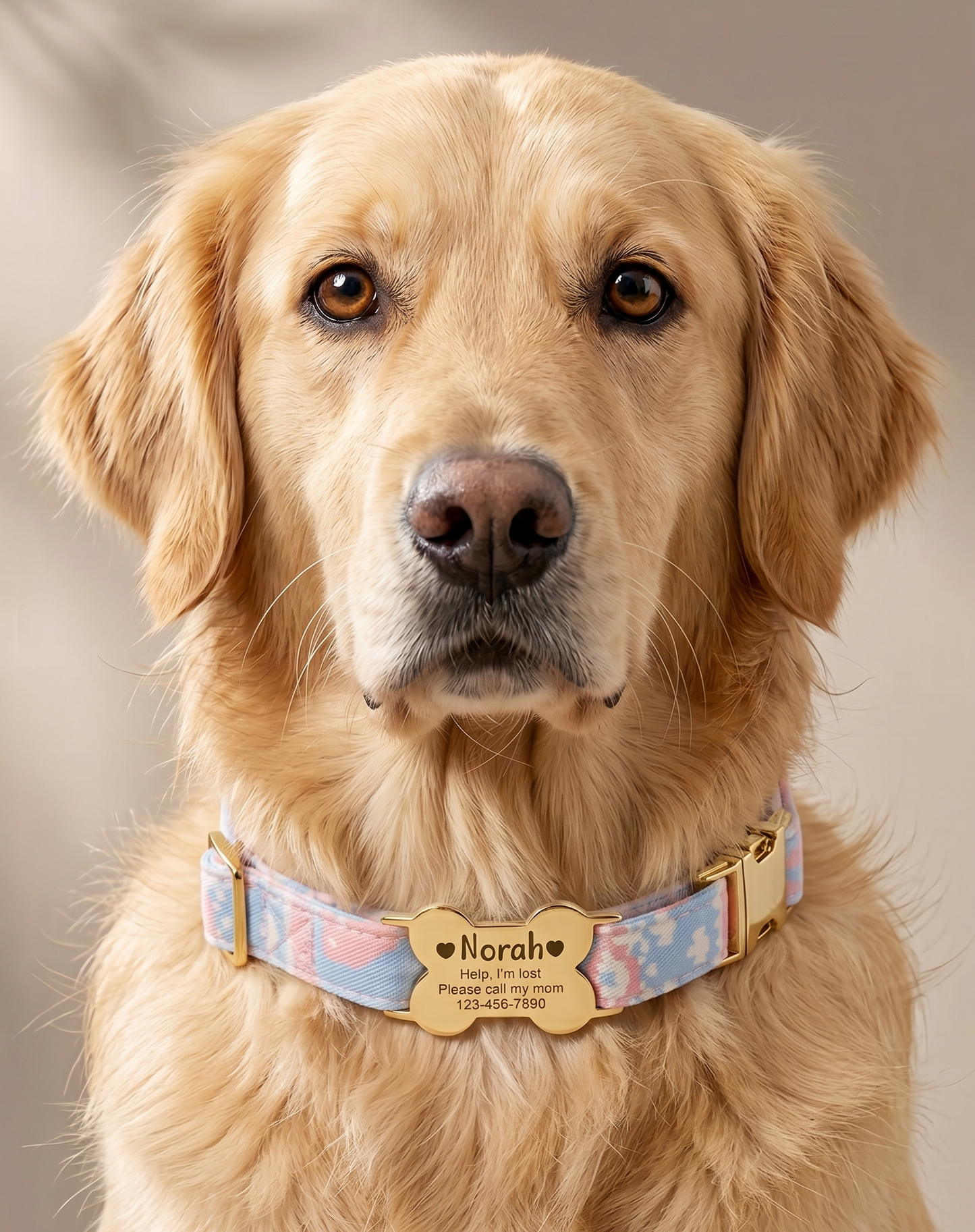 Custom Dog-Pet Id Collar Slide On Gold Bone Tag