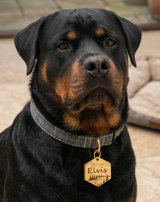 Custom Mountain Forest Scene Dog-Pet Id Gold Collar Tags