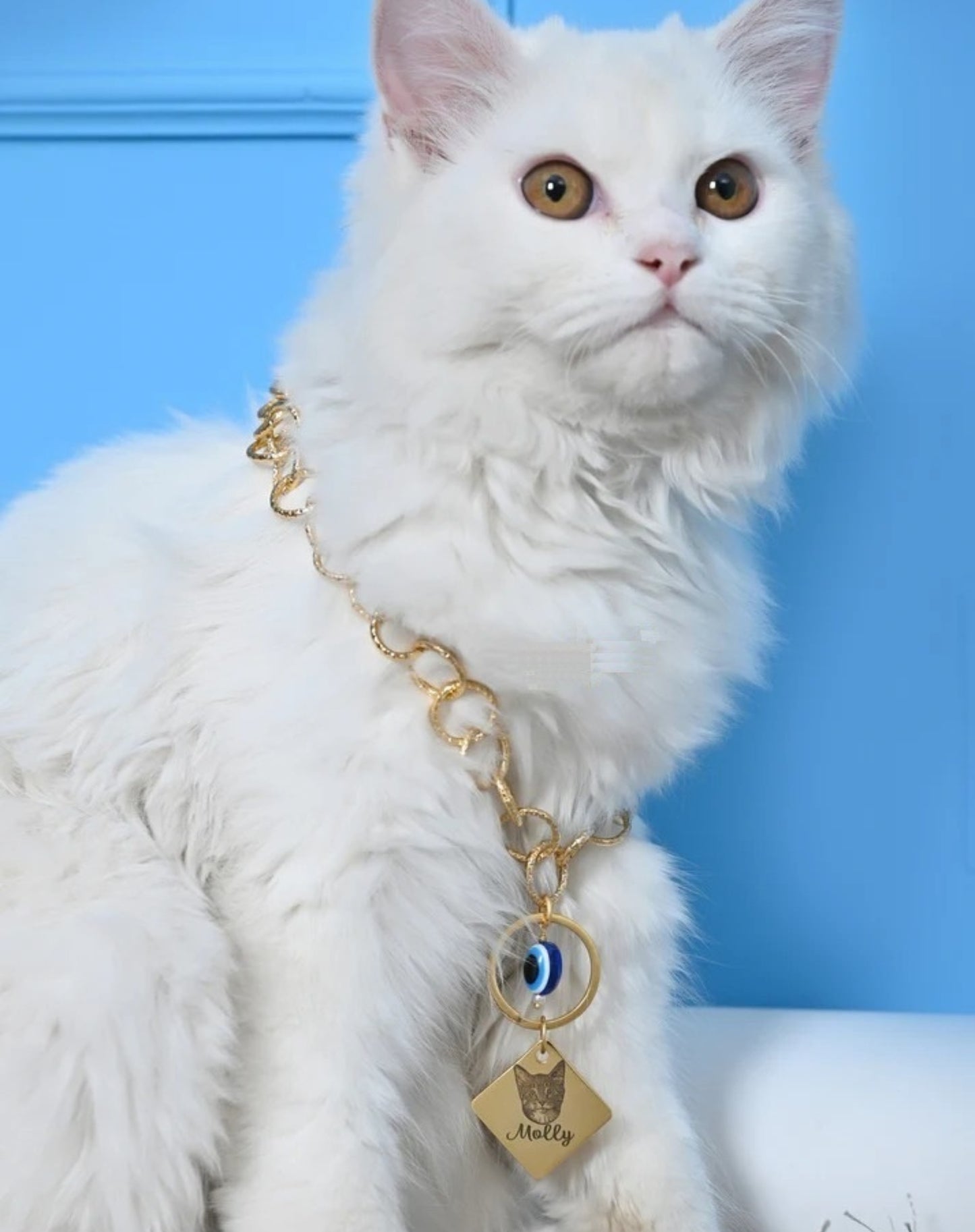 Personalized Cat Name & Image Necklace