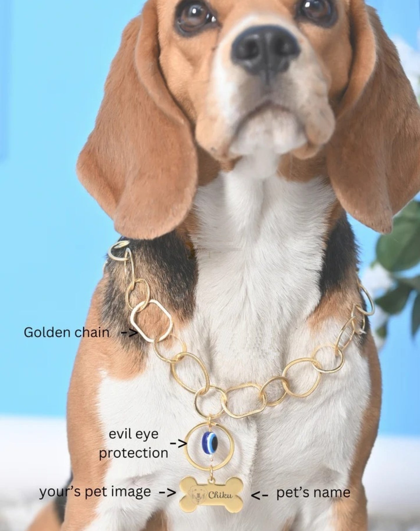 Custom Pet Name & Image Necklace with Evil Eye Protection
