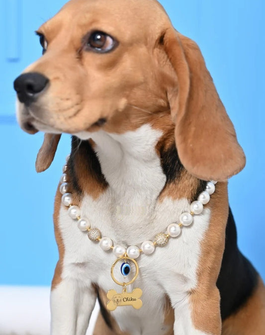 Personalized Pearl Pet Necklace with Evil Eye Charm