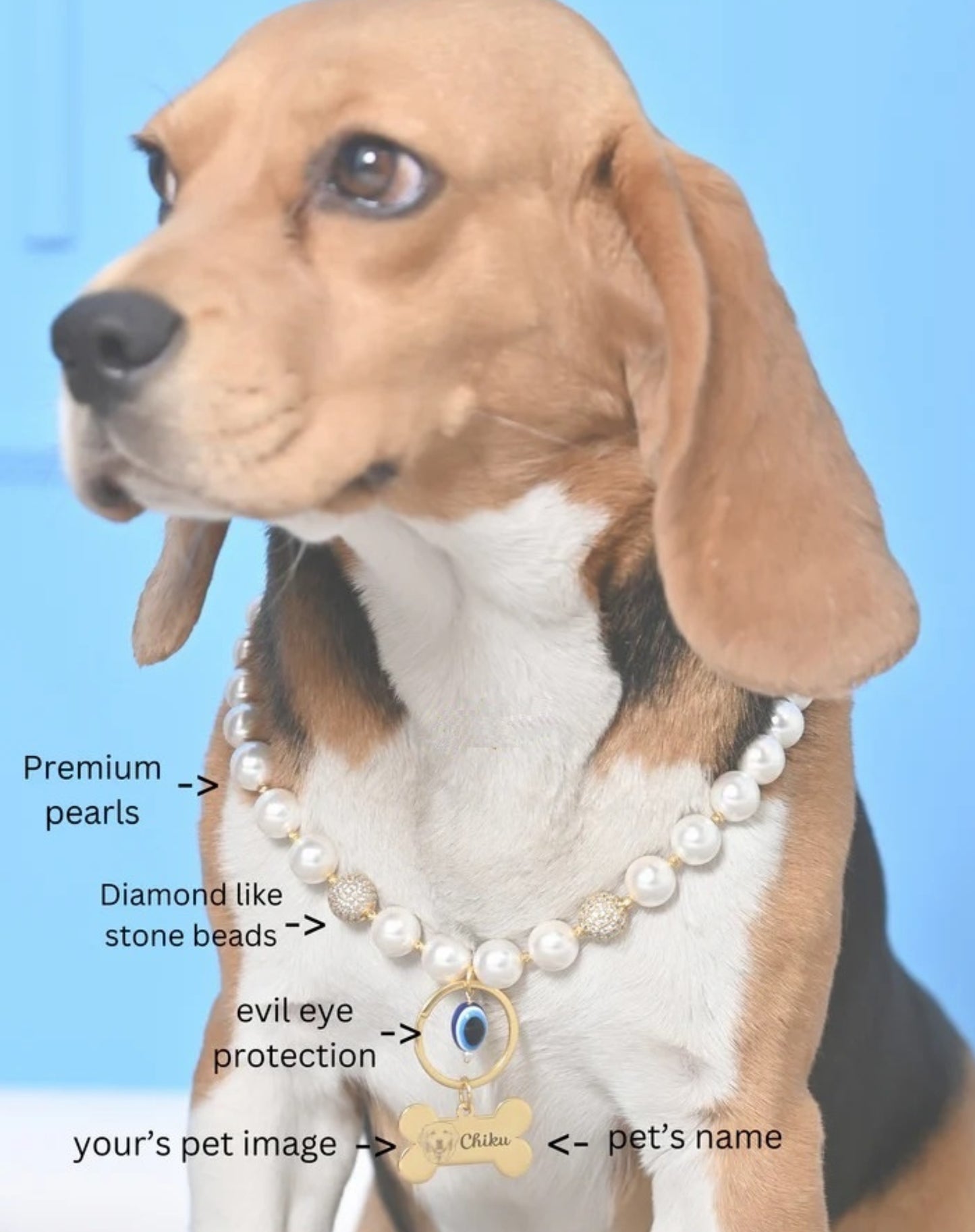 Personalized Pearl Pet Necklace with Evil Eye Charm