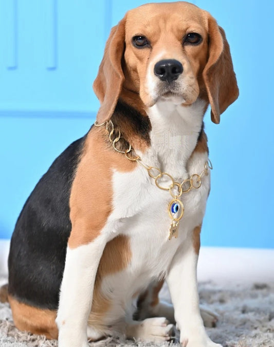 Custom Pet Name & Image Necklace with Evil Eye Protection