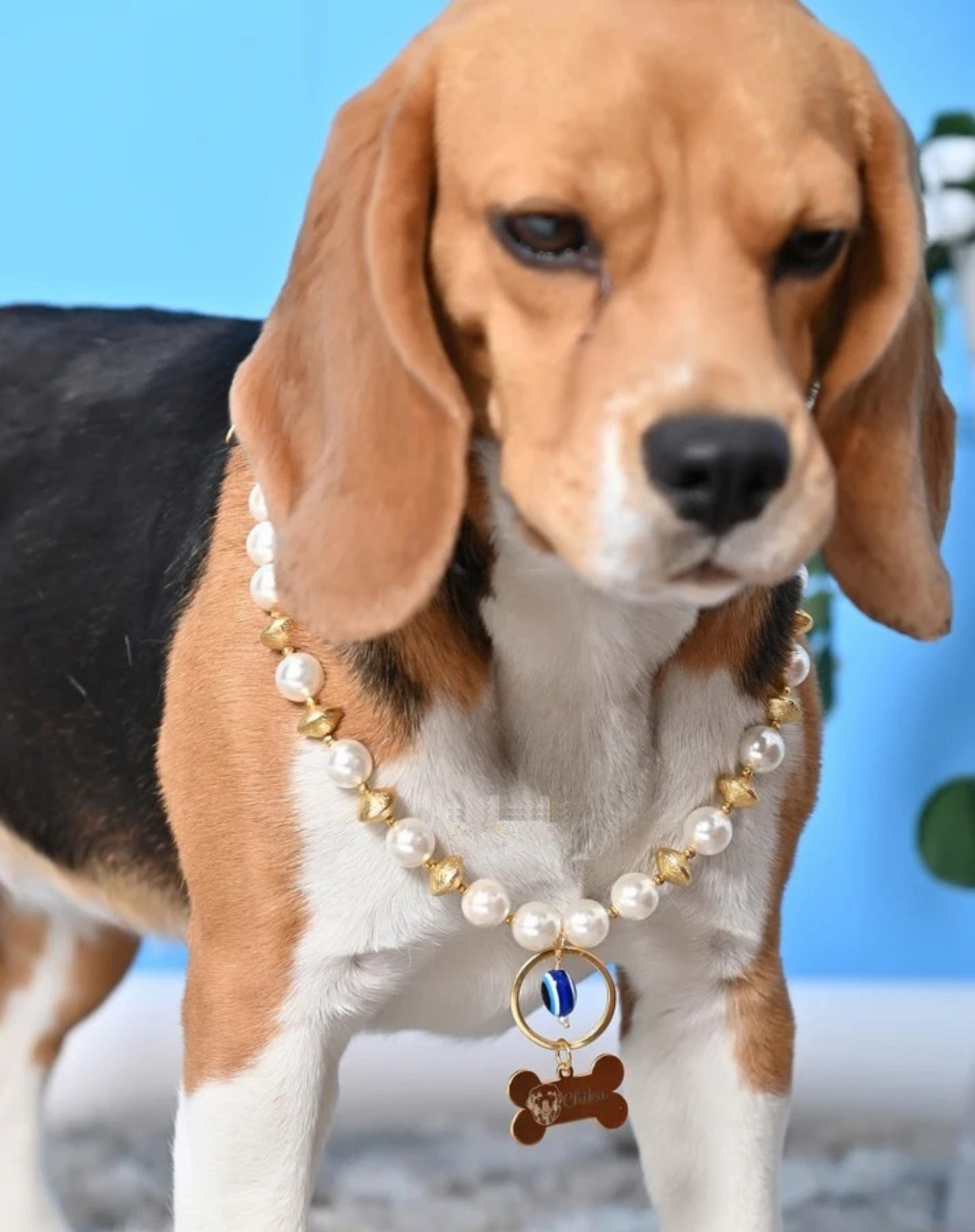 Personalized Pearl Pet Necklace with Gold Beads