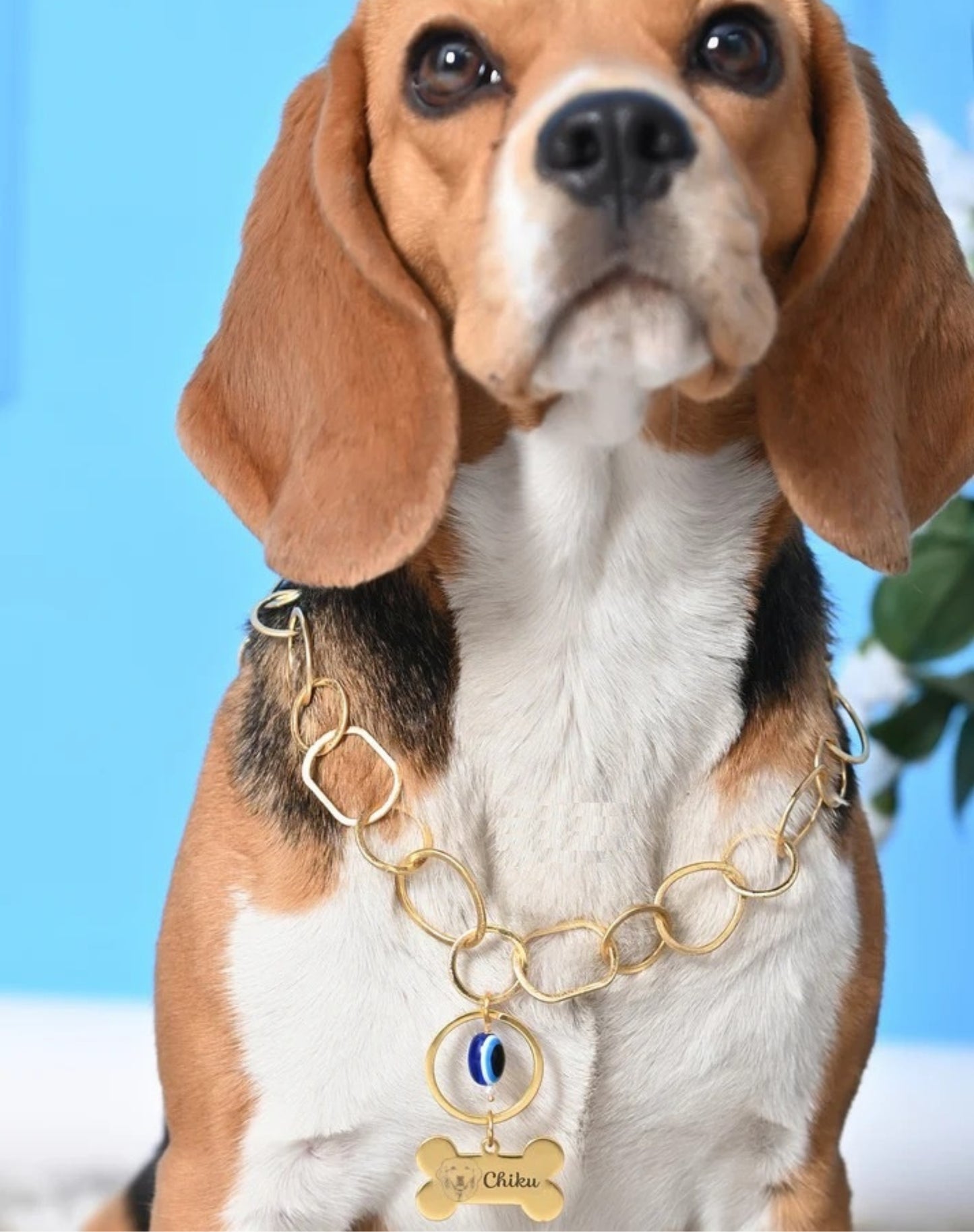 Custom Pet Name & Image Necklace with Evil Eye Protection