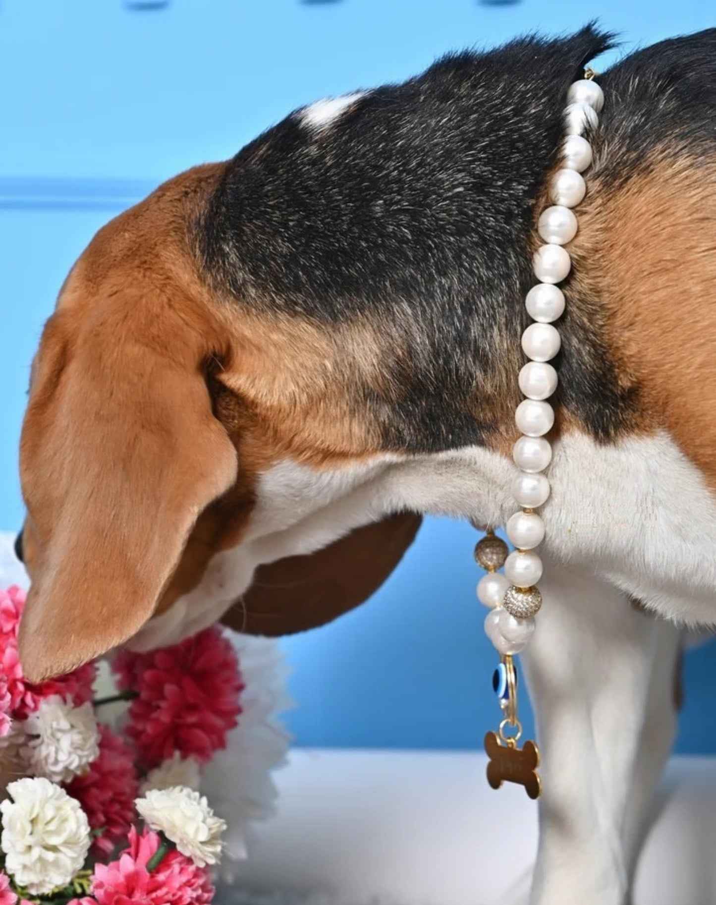 Personalized Pearl Pet Necklace with Evil Eye Charm
