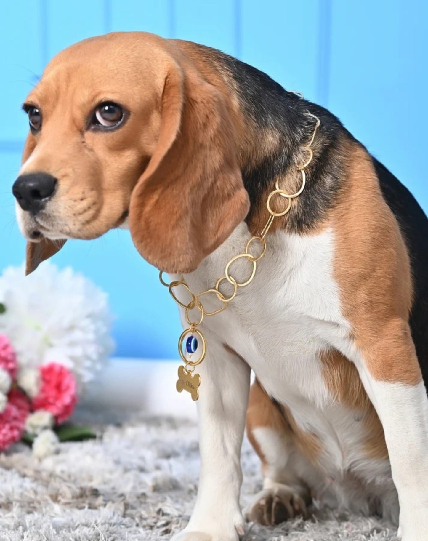 Custom Pet Name & Image Necklace with Evil Eye Protection
