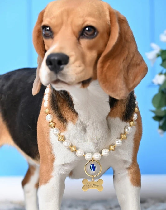 Personalized Pearl Pet Necklace with Gold Beads
