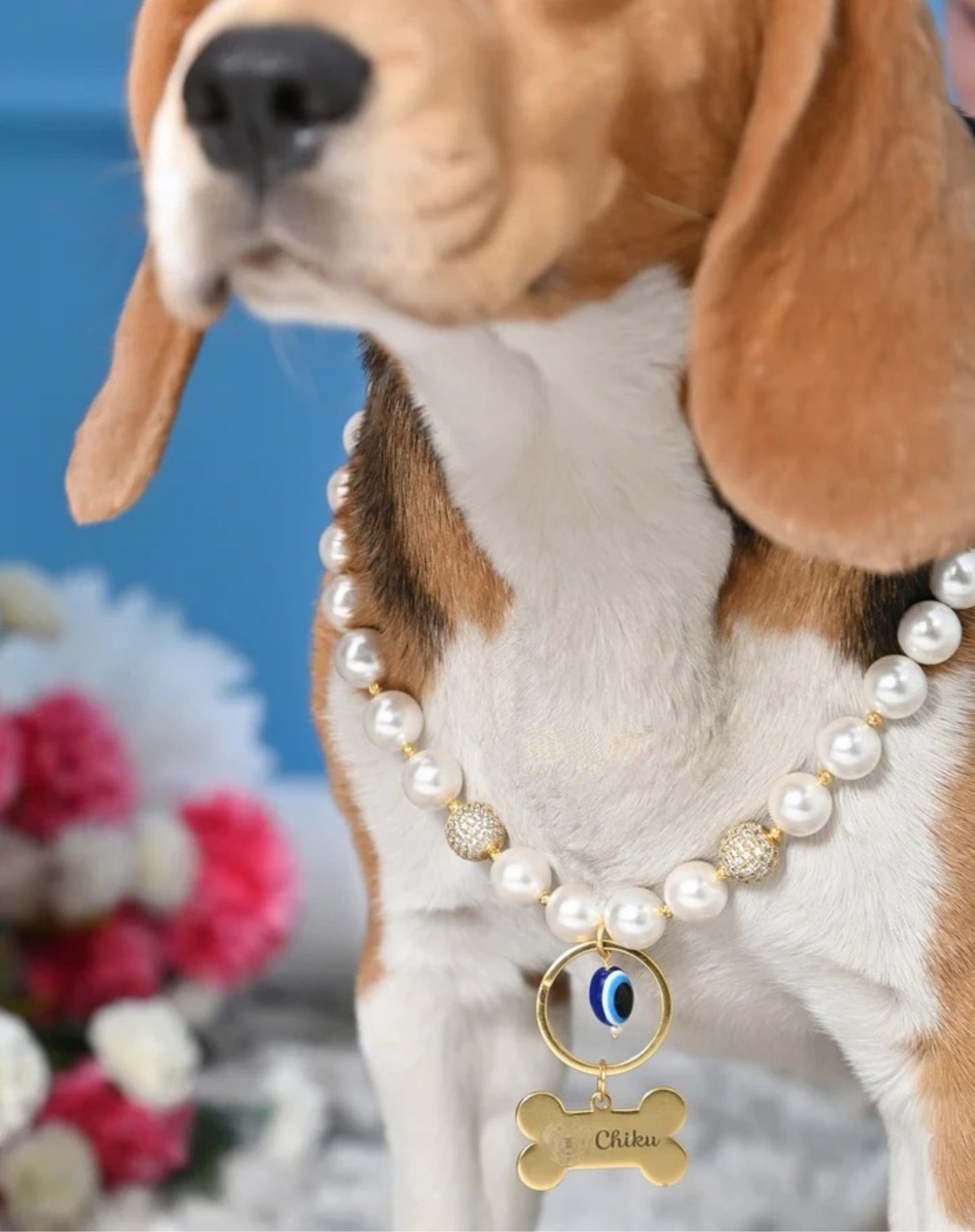 Personalized Pearl Pet Necklace with Evil Eye Charm