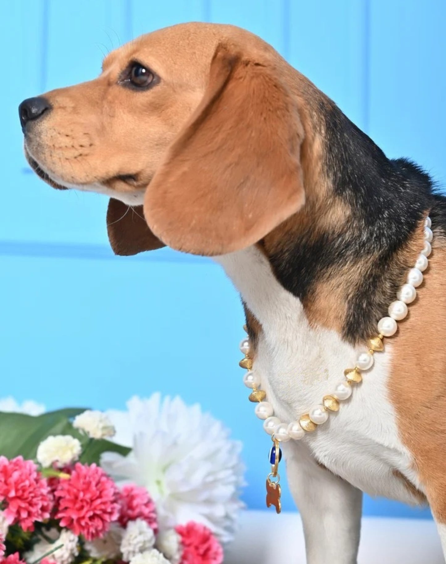Personalized Pearl Pet Necklace with Gold Beads
