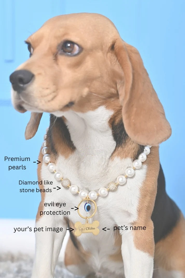 Personalized Pearl Pet Necklace with Evil Eye Charm