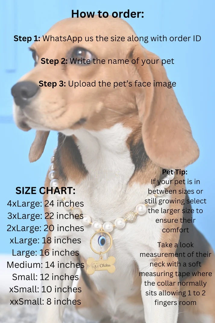 Personalized Pearl Pet Necklace with Evil Eye Charm