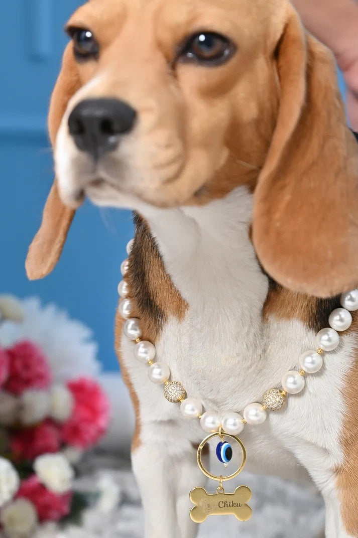 Personalized Pearl Pet Necklace with Evil Eye Charm