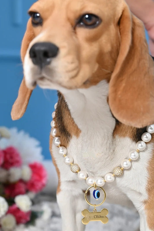 Personalized Pearl Pet Necklace with Evil Eye Charm