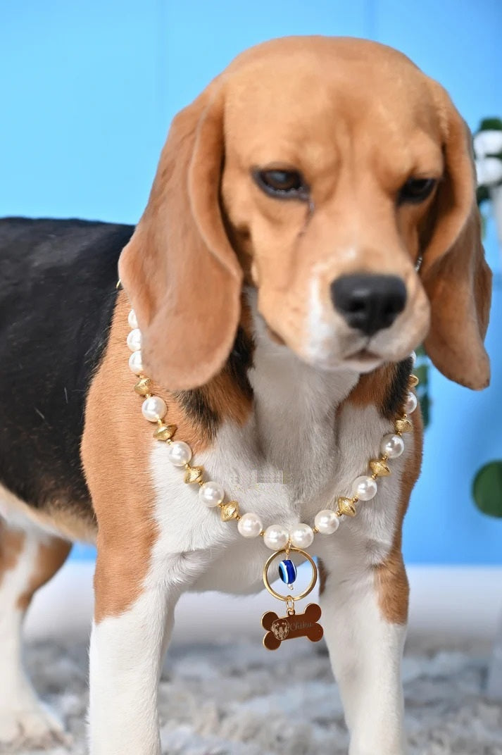 Personalized Pearl Pet Necklace with Gold Beads