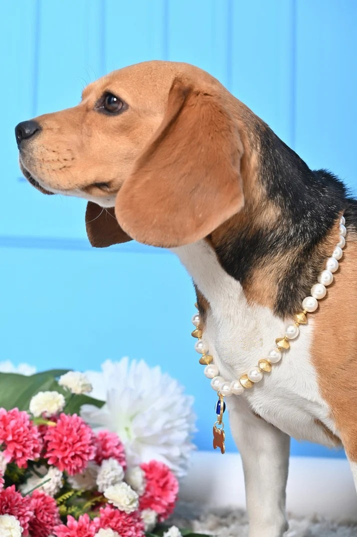 Personalized Pearl Pet Necklace with Gold Beads